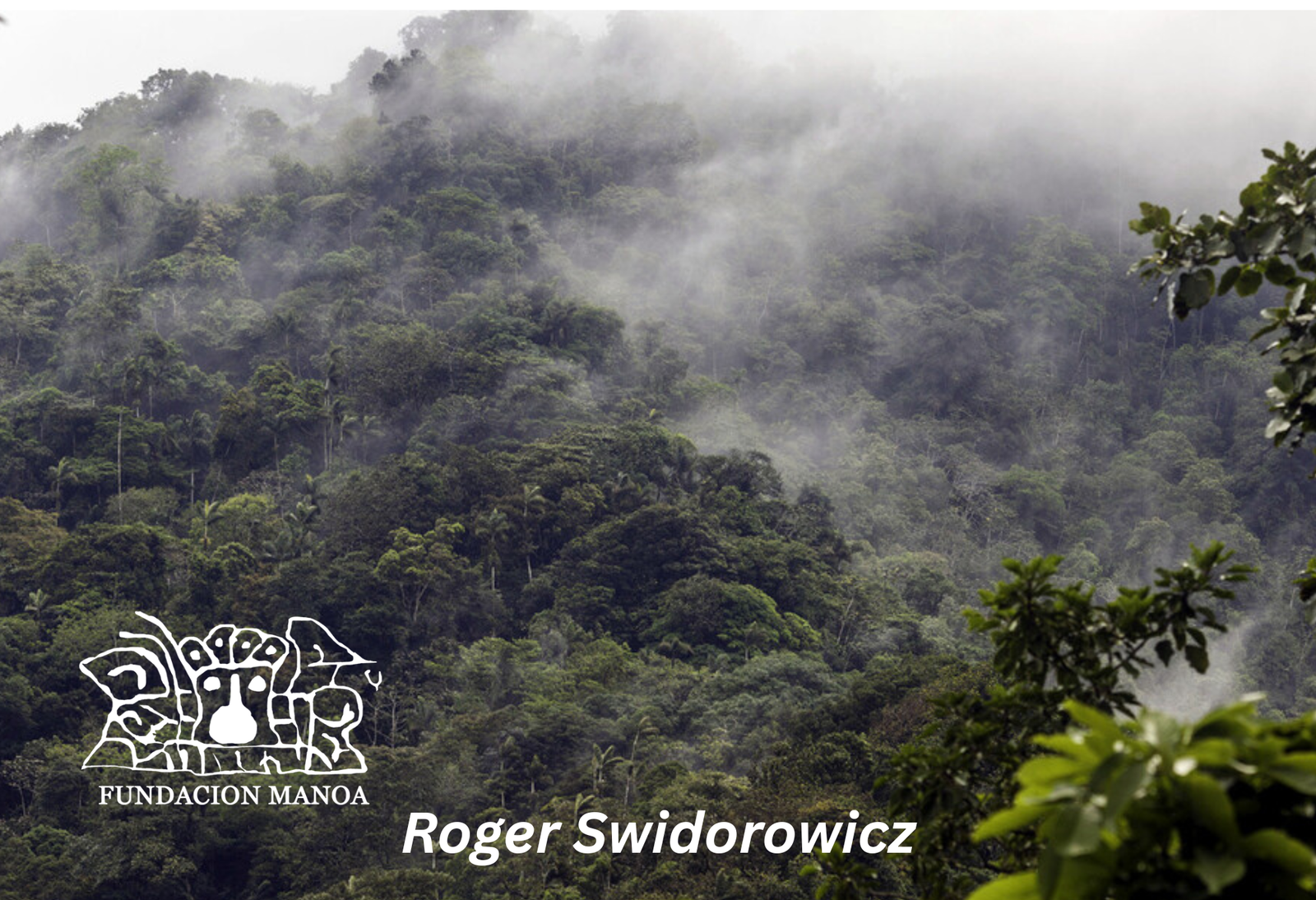 Roger Swidorowicz Canaima
