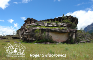 Roger swidorowicz arqueologia
