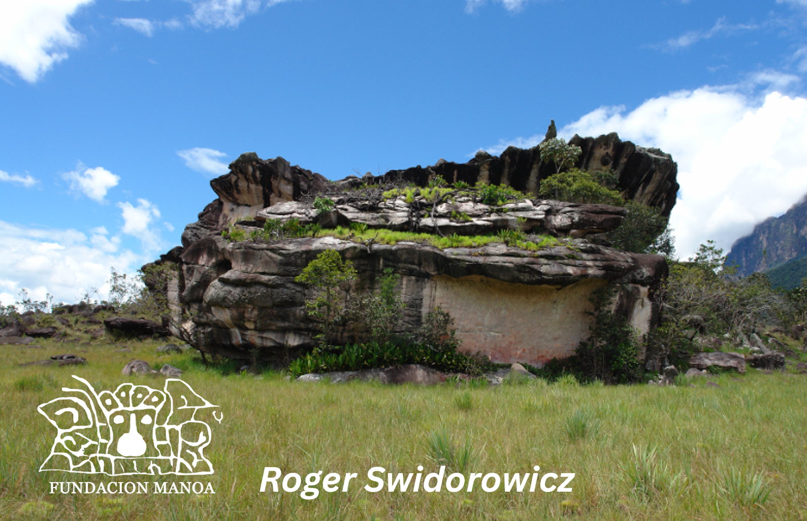 Roger swidorowicz arqueologia